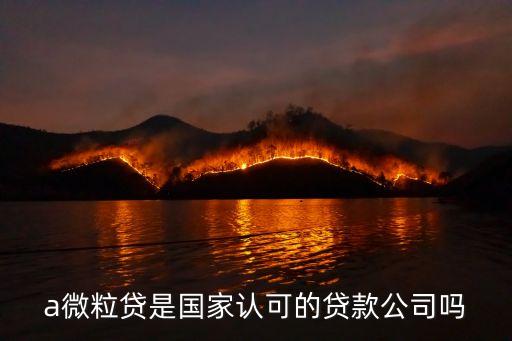 a微粒贷是国家认可的贷款公司吗