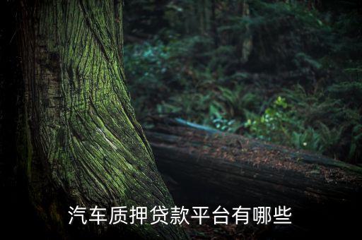 哪里可以做汽车抵押贷款，汽车质押贷款平台有哪些