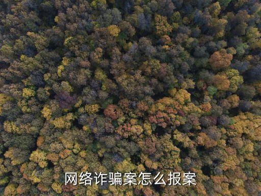 网络诈骗案怎么报案