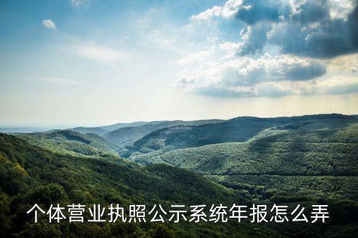 个人营业执照年报怎么报，营业执照年报怎样填
