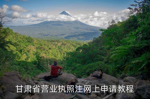 甘肃省营业执照注网上申请教程