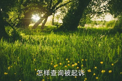 哪里能查到自己是否被起诉，怎样查询被起诉
