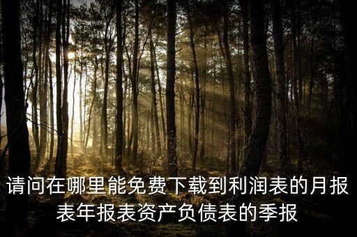 请问在哪里能免费下载到利润表的月报表年报表资产负债表的季报