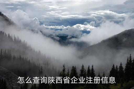 怎么查询陕西省企业注册信息