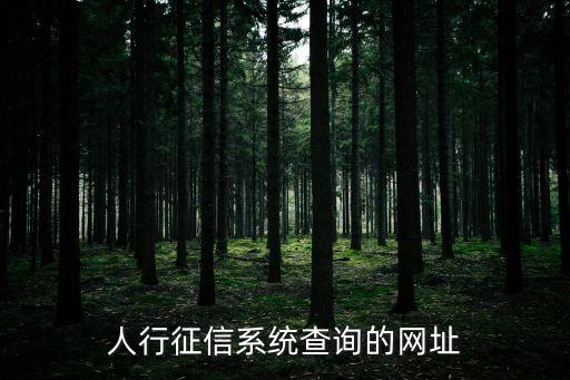 人行征信系统查询的网址