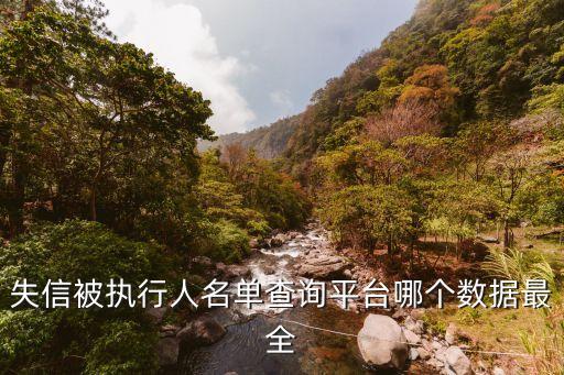 失信被执行人名单查询平台哪个数据最全