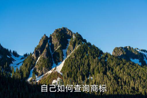 个人商标查询，个人怎么查询商标
