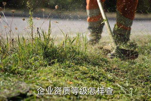 企业资质等级怎样查