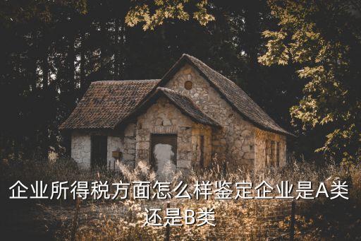 企业所得税方面怎么样鉴定企业是A类还是B类