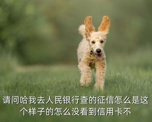 请问哈我去人民银行查的征信怎么是这个样子的怎么没看到信用卡不