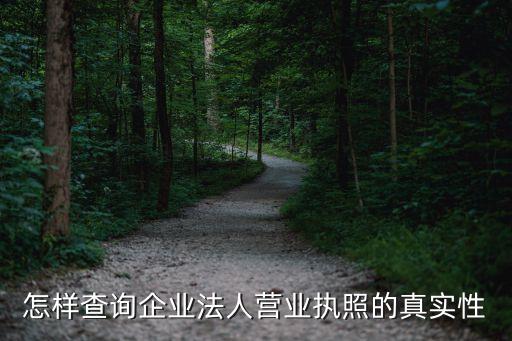 怎样查询企业法人营业执照的真实性