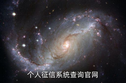 个人征信系统查询官网