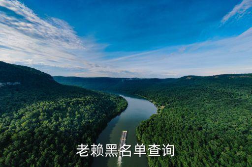 老赖黑名单查询