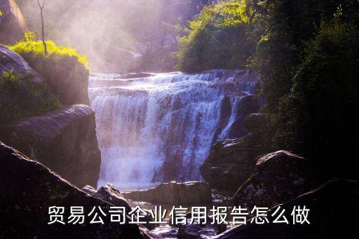 贸易公司企业信用报告怎么做