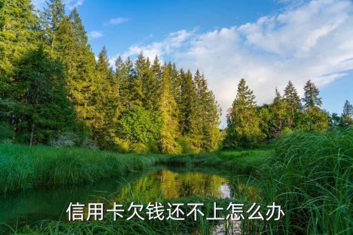 信用卡欠钱还不上怎么办