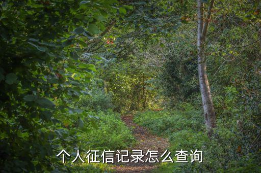 自己怎么查征信报告，个人征信记录怎么查询