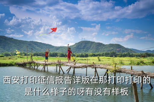 征信报告的图片什么样子，请问哈我去人民银行查的征信怎么是这个样子的怎么没看到信用卡不