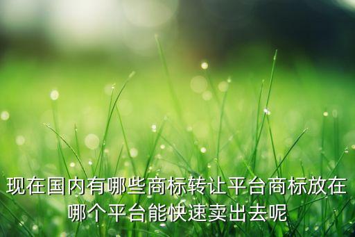 现在国内有哪些商标转让平台商标放在哪个平台能快速卖出去呢