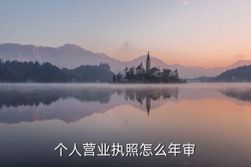 自己怎样审营业执照，个人营业执照怎么年审