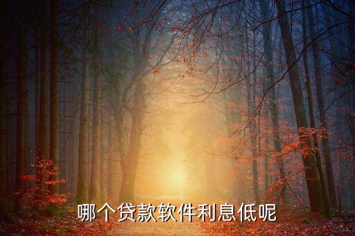 哪个贷款软件利息低呢