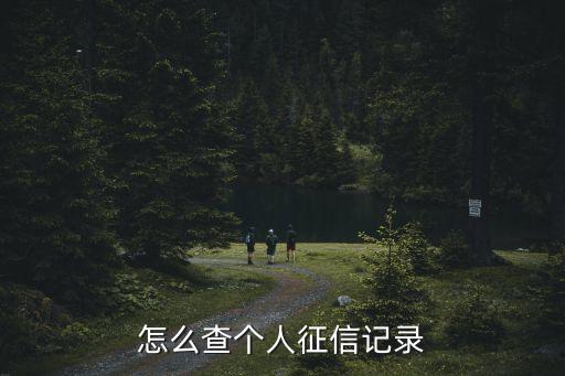 怎样能查自己的征信信息，如何查询自己的个人征信