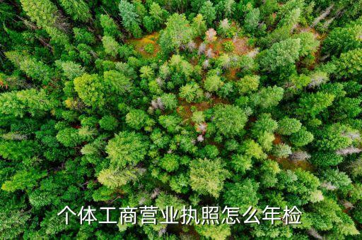 个体工商营业执照怎么年检