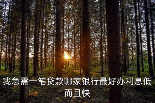 我急需一笔贷款哪家银行最好办利息低而且快