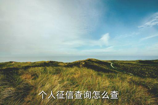 个人征信查询怎么查