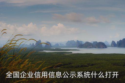 全国企业信用信息公示系统什么打开