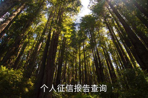 个人征信报告查询
