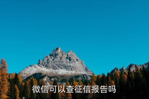 微信查询征信报告，微信怎么查个人征信