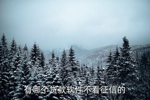 哪个平台不查征信可以贷款，哪有不看征信的贷款平台