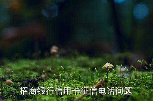 招商银行信用卡征信电话问题