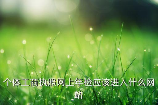 个体工商执照网上年检应该进入什么网站