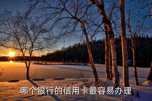 哪个银行的信用卡最容易办理