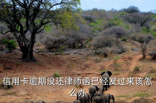 信用卡律师函下来了怎么办，信用卡欠款7500块钱收到律师函怎么办