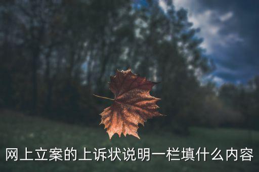 网上立案的上诉状说明一栏填什么内容