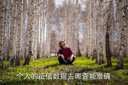 个人的征信数据去哪查能准确