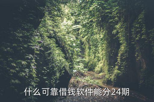 什么可靠借钱软件能分24期