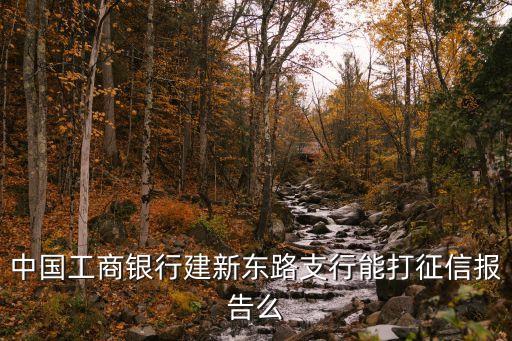 中国工商银行建新东路支行能打征信报告么
