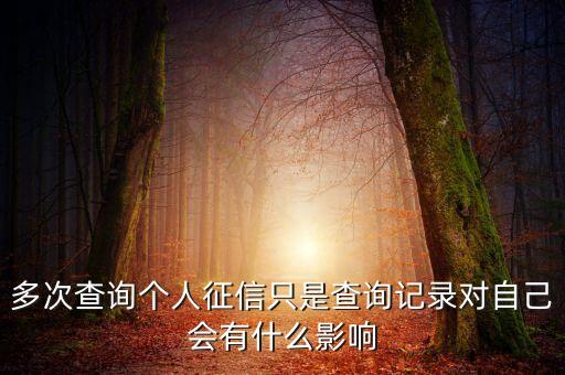 多次查询个人征信只是查询记录对自己会有什么影响