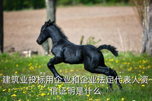 建筑业投标用企业和企业法定代表人资信证明是什么