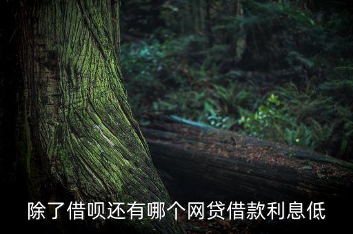 比借呗利息低的正规网贷，类似借呗这样的小额贷款利息低的没有其他乱七八糟费用的贷款还有哪