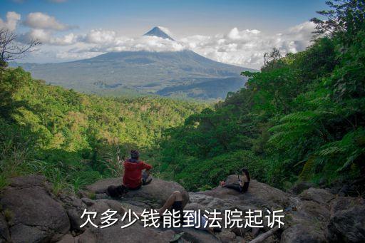 欠多少钱能到法院起诉