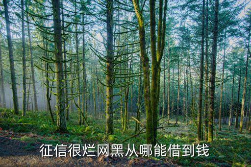 征信很烂网黑从哪能借到钱