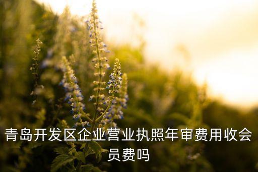青岛开发区企业营业执照年审费用收会员费吗