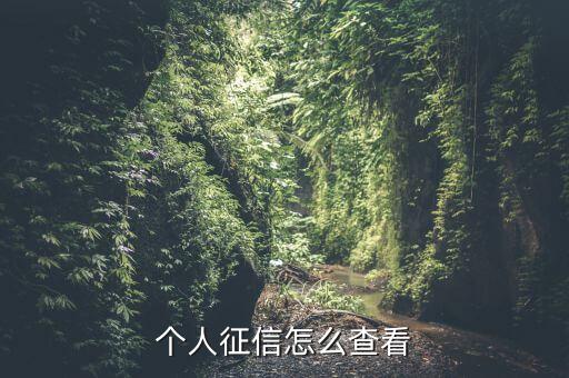 个人征信怎么查看