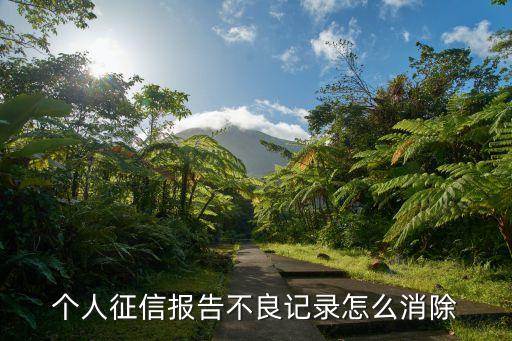 个人征信报告不良记录怎么消除