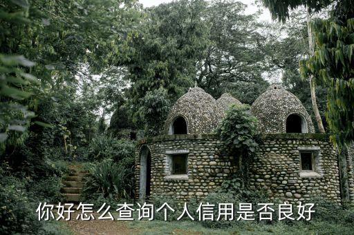 你好怎么查询个人信用是否良好