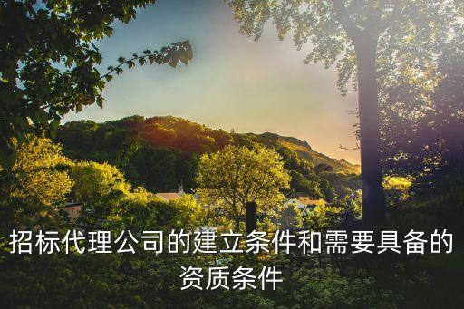 招标代理公司的建立条件和需要具备的资质条件
